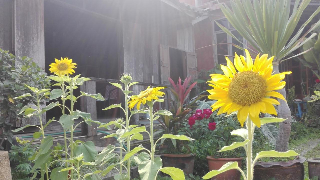 Maeloegyi Maesariang Hotel Mae Sariang Exterior foto